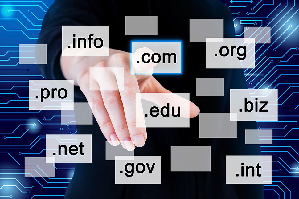 Domain Registration Services Domain Registration Services